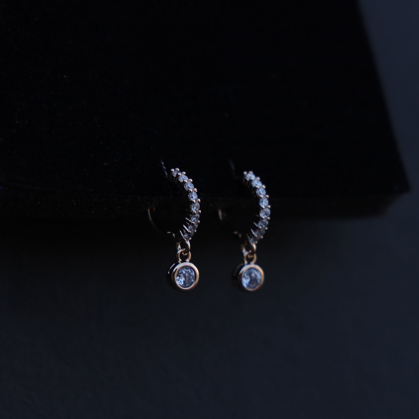 Hoop Drop Crystal Earrings